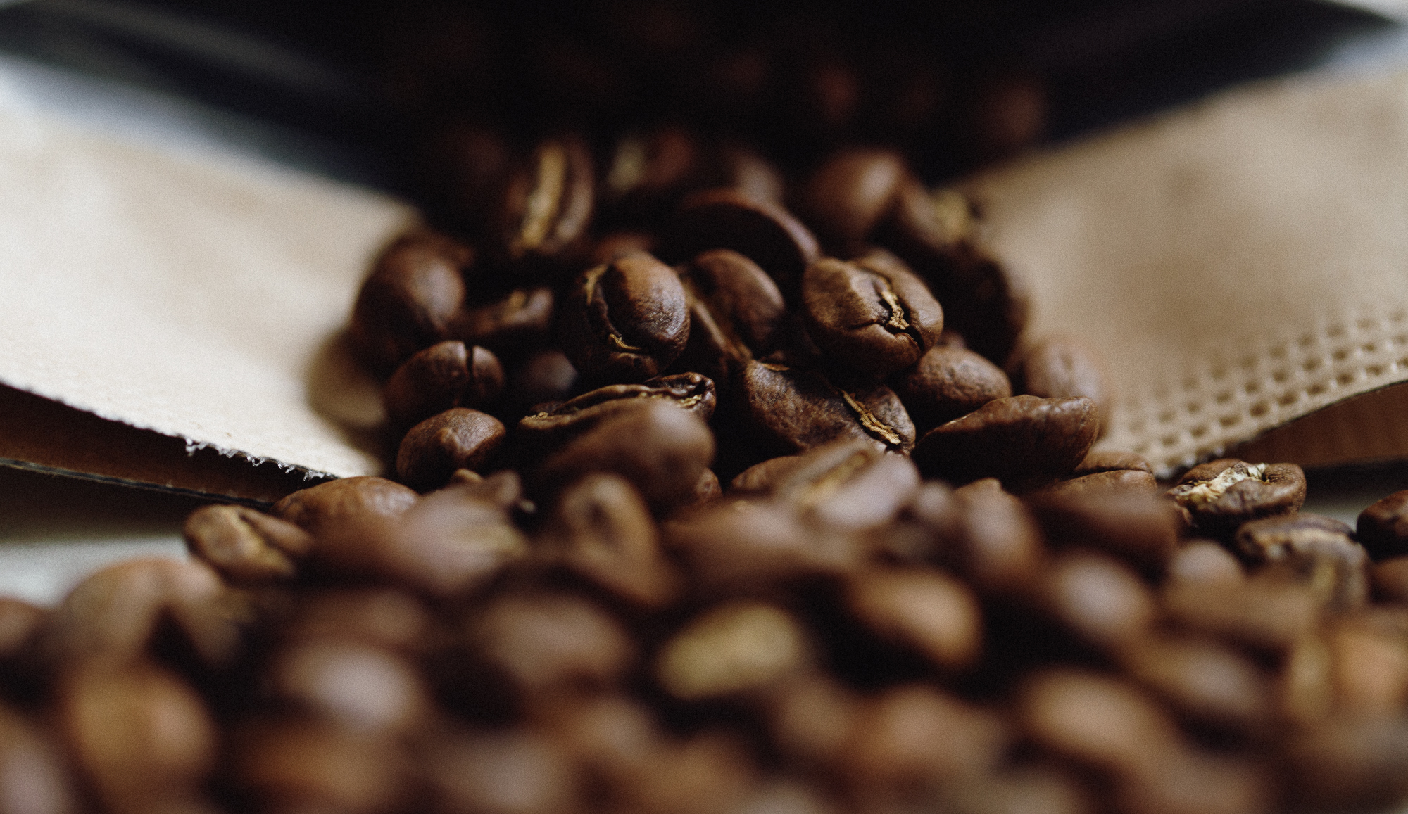 Coffee Smart – Despre cafeaua Arabica și Robusta