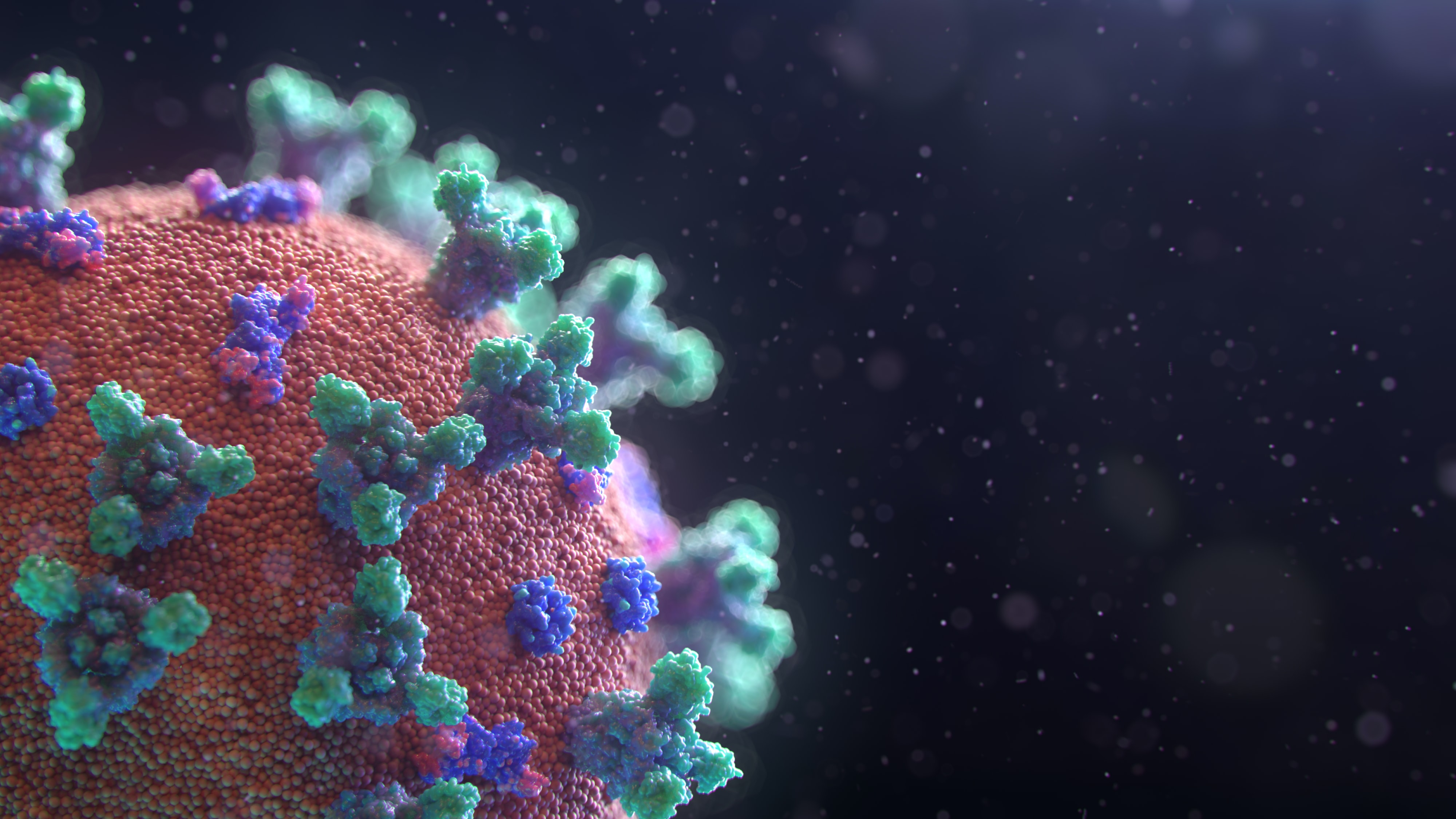 Modul în care coronavirusul atacă întregul corp