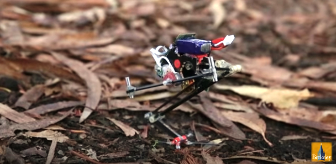 VIDEO: Salto, Robotul care sare ca o broască și aterizează ca un atlet de talie mondială