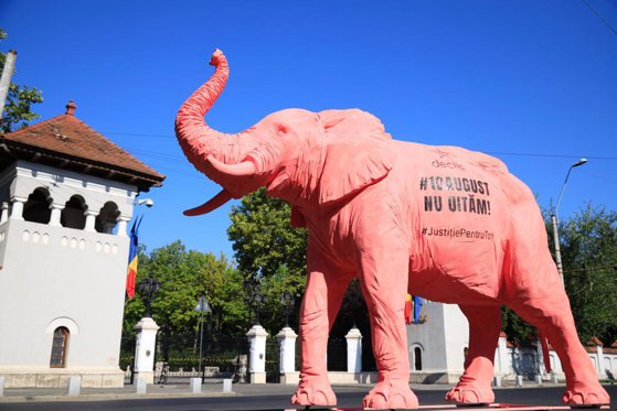 Un elefant roz va fi plimbat astăzi pe la instituțiile care au tergiversat ancheta „10 august”