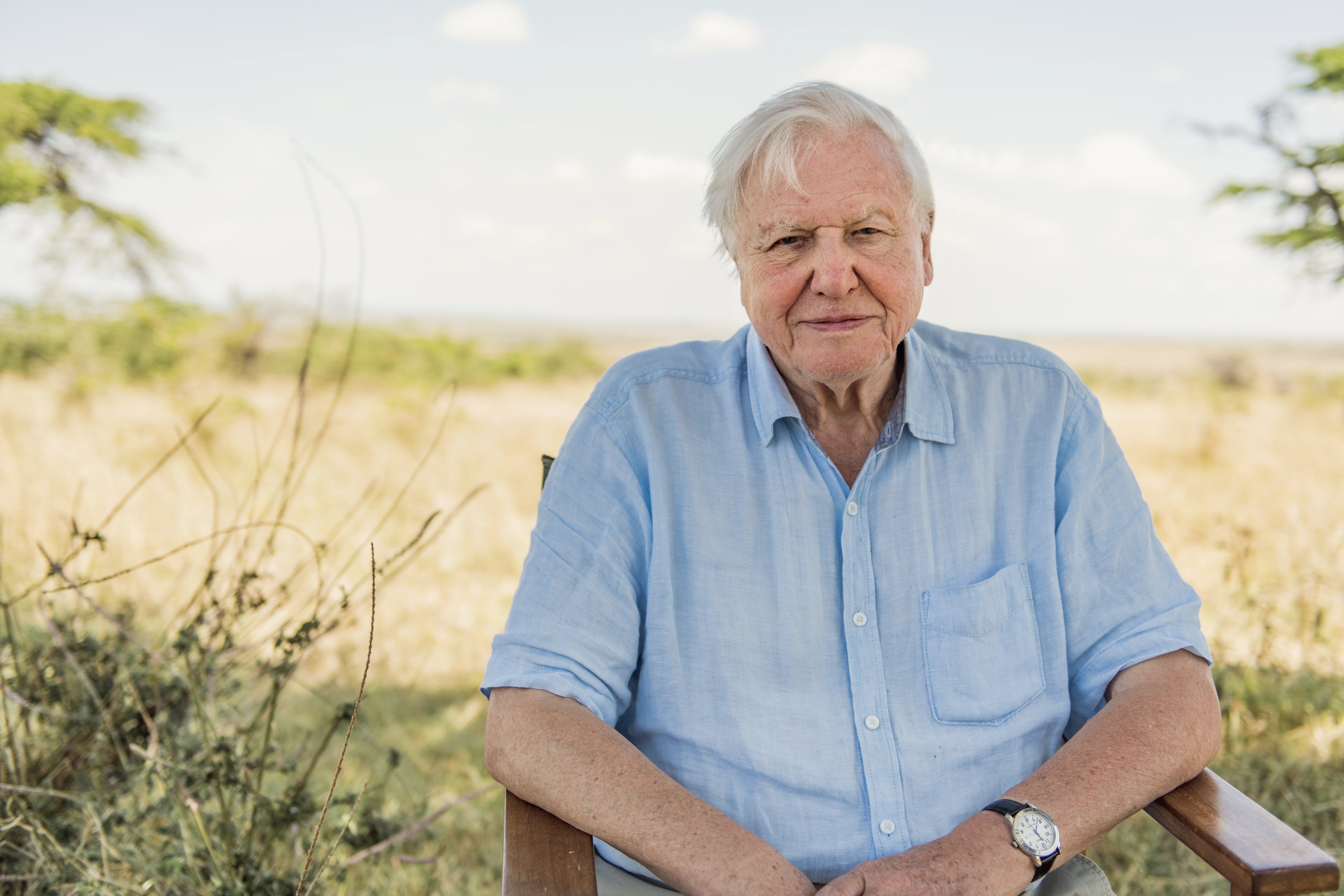 Sir David Attenborough, luat la întrebări de celebrități înainte de lansarea unui nou documentar despre natură
