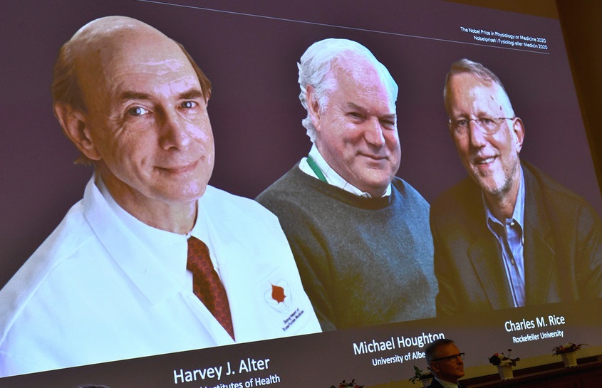Laureații Premiului Nobel pentru Medicină 2020. Trei câștigători pentru decoperirea virusului Hepatitei C