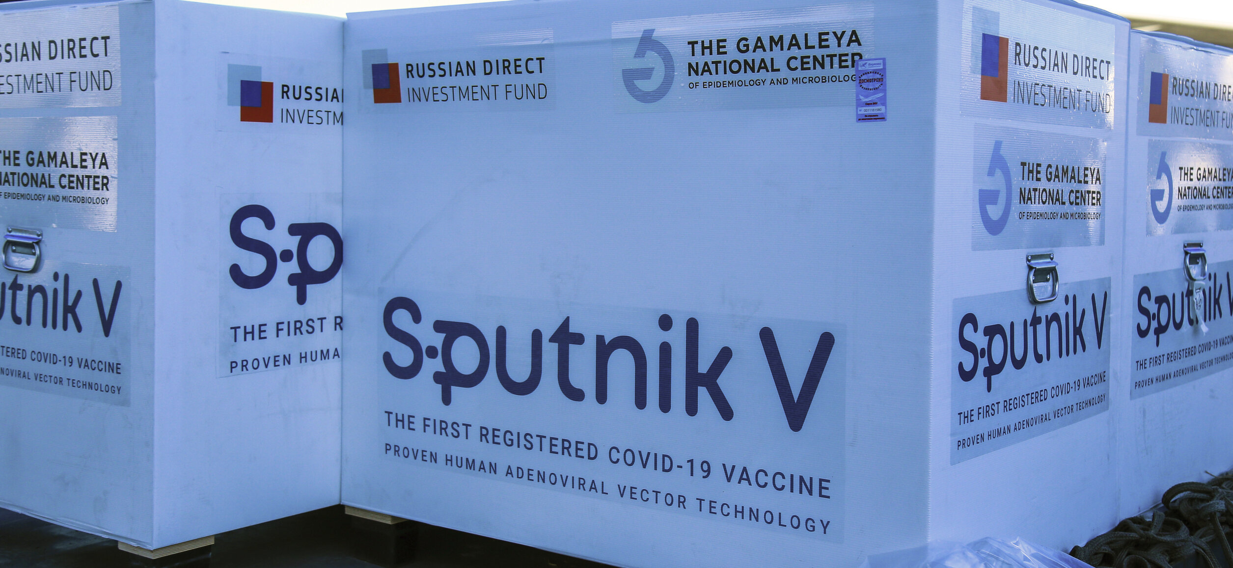 Președintele Cehiei nu mai așteaptă vaccinurile achiziționate de UE. „I-am trimis o scrisoare lui Putin. Sputnik V ajunge zilele următoare”