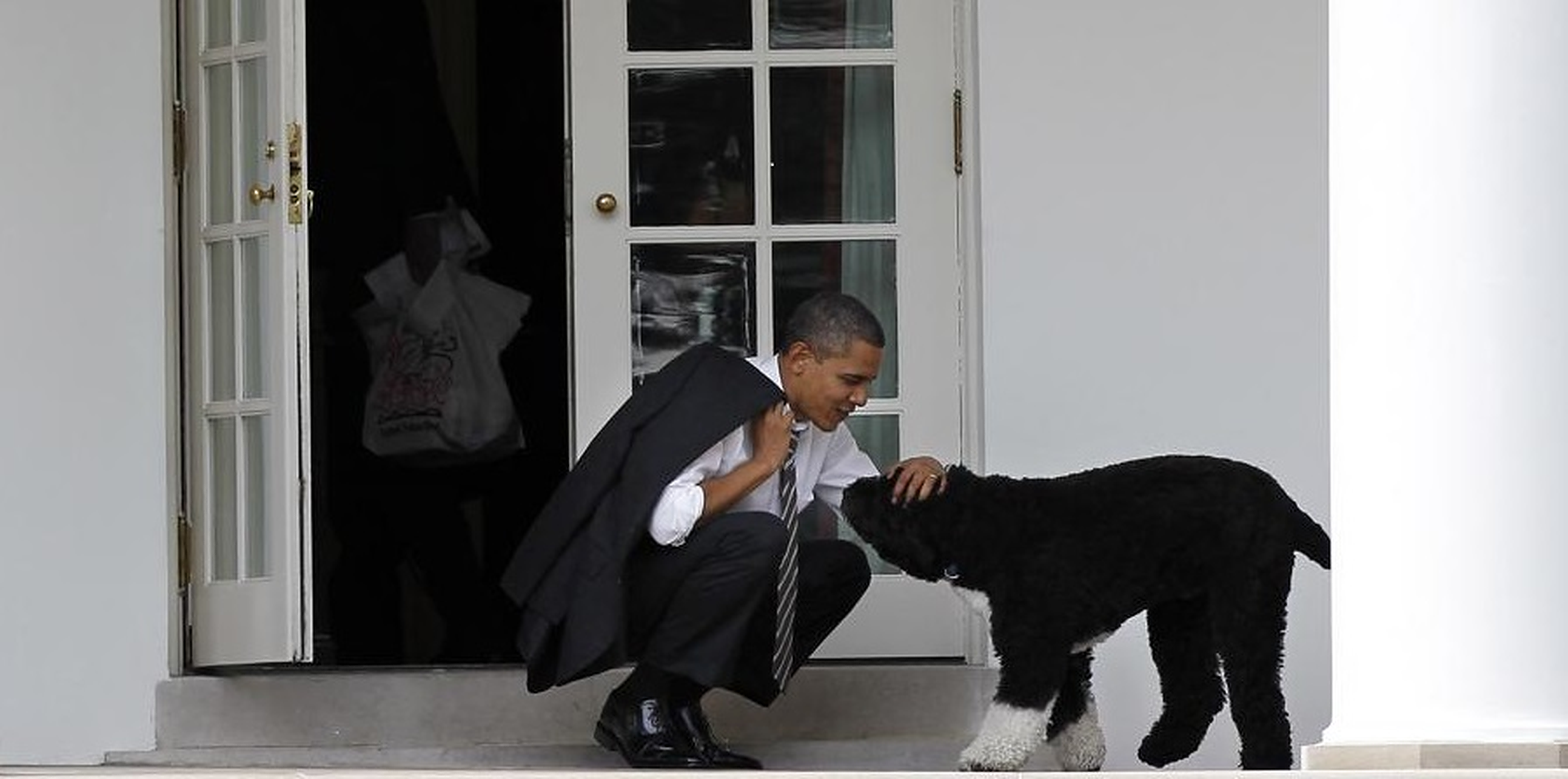 Barack Obama anunță moartea câinelui său, Bo. Suferea de cancer