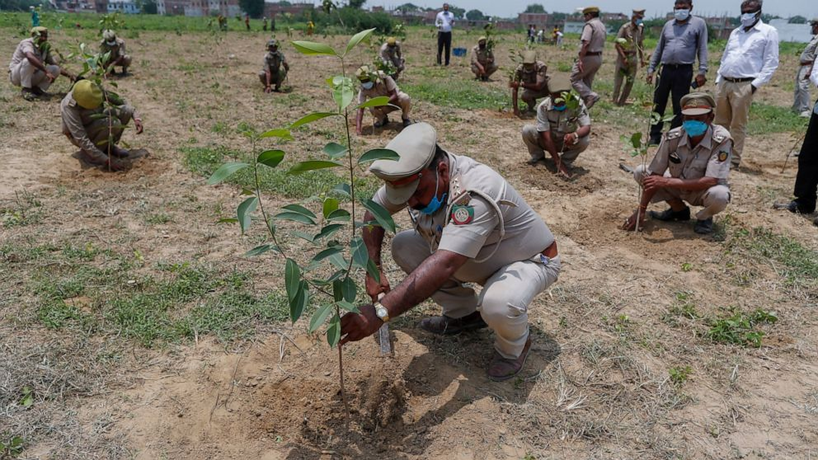 Un milion de indieni plantează 250 de milioane de copaci, ca parte a campaniei de reducere a amprentei de carbon