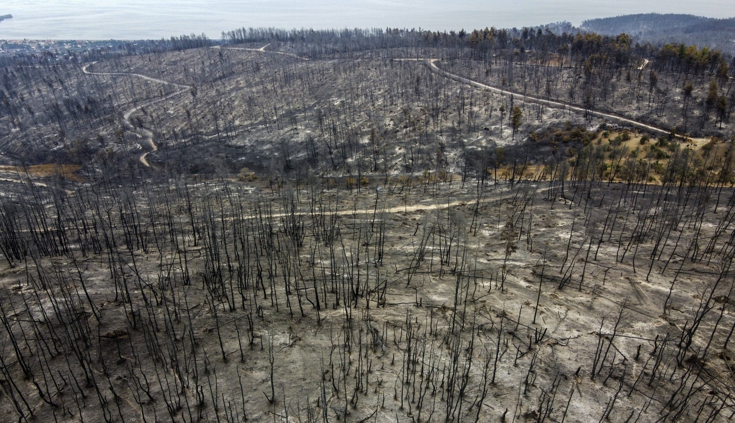 Grecia| 100.000 de hectare de terenuri agricole și păduri au fost distruse de incendii. Sute de pompieri încă se luptă cu flăcările