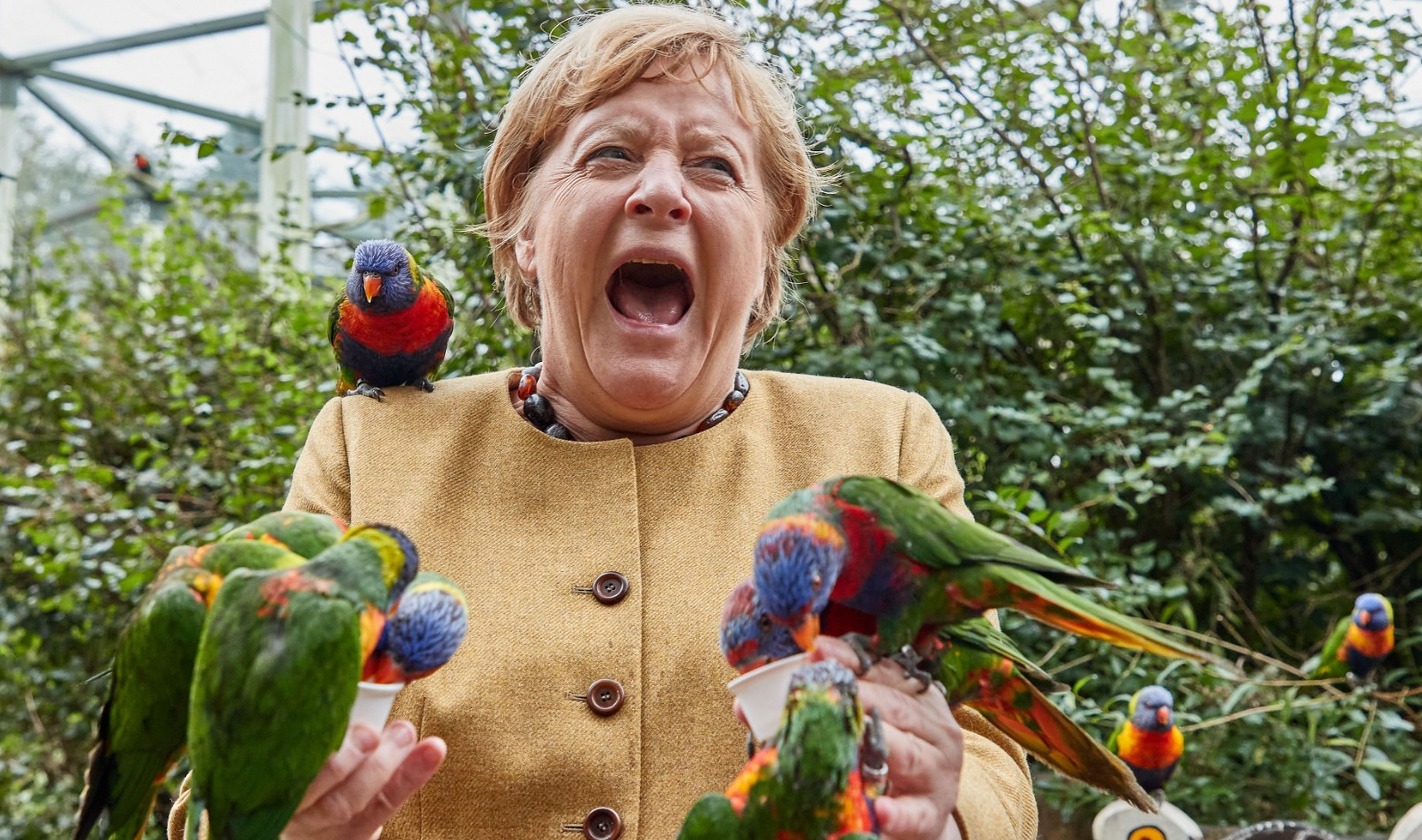 Angela Merkel, atacată de papagali în timp ce încerca să-i hrănească