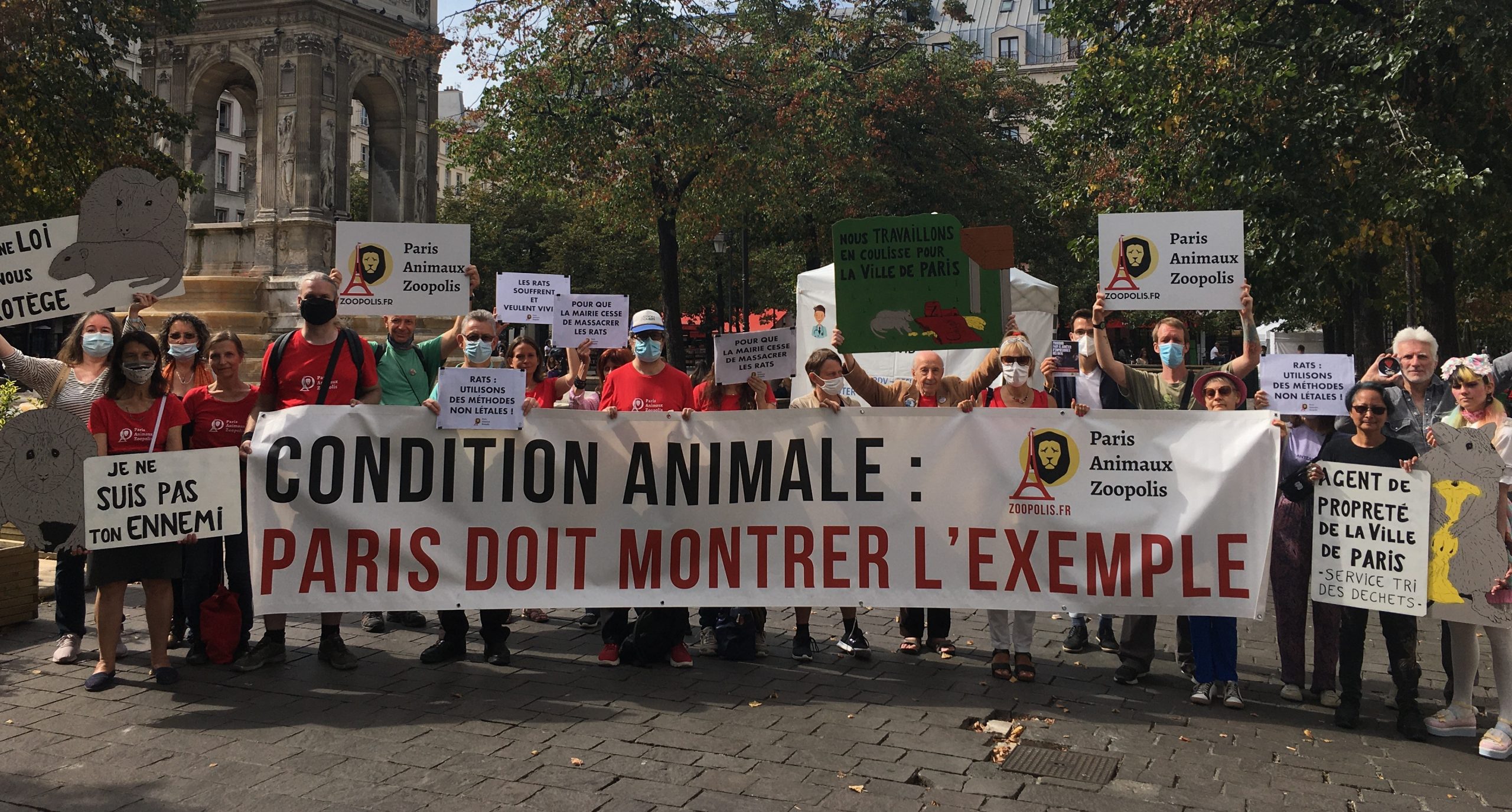 Paris| Asociația PAZ cere protejarea șobolanilor. „Rozătoarele suferă”