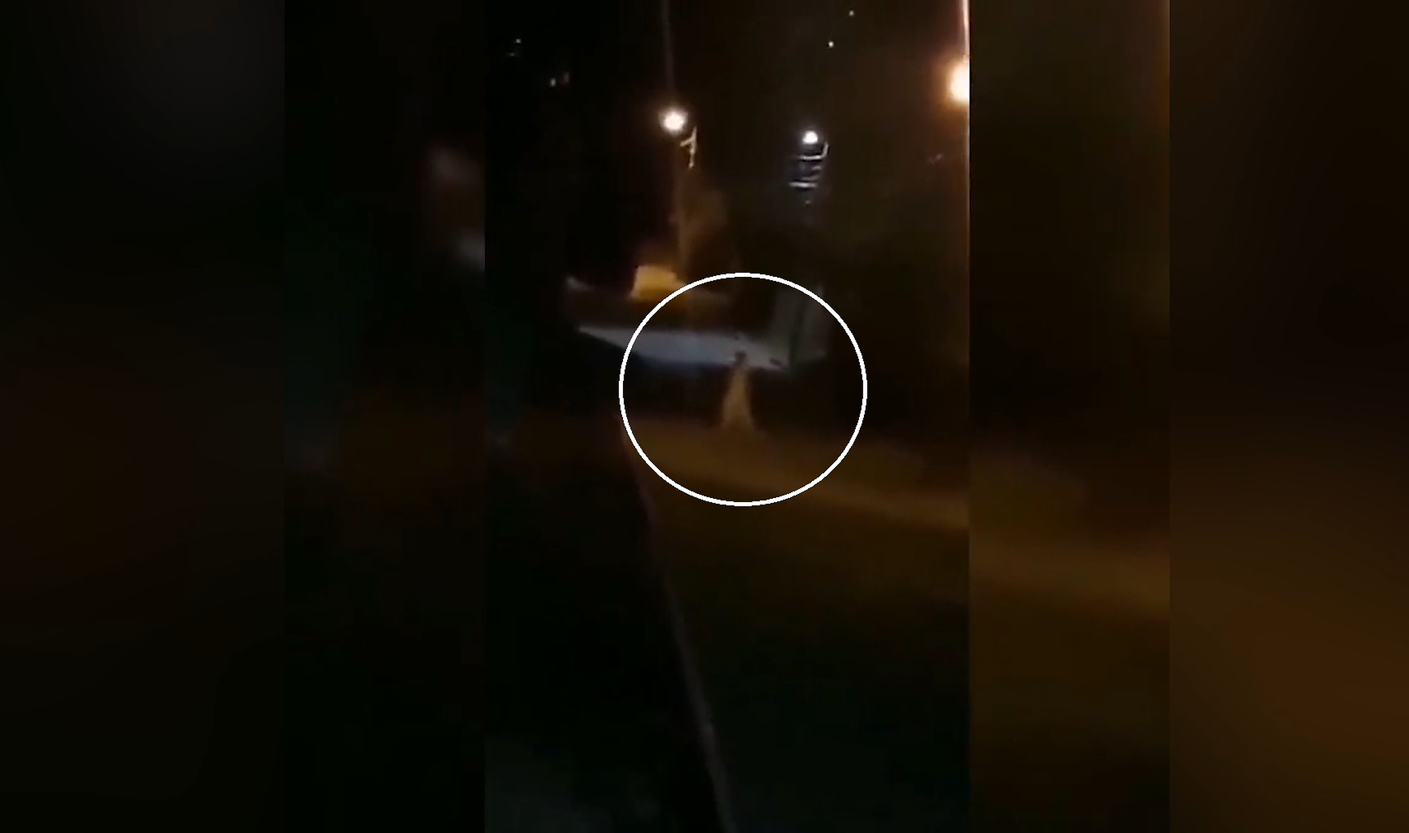 VIDEO| O femeie deghizată în fantomă a fost împușcată mortal de vecinii speriați
