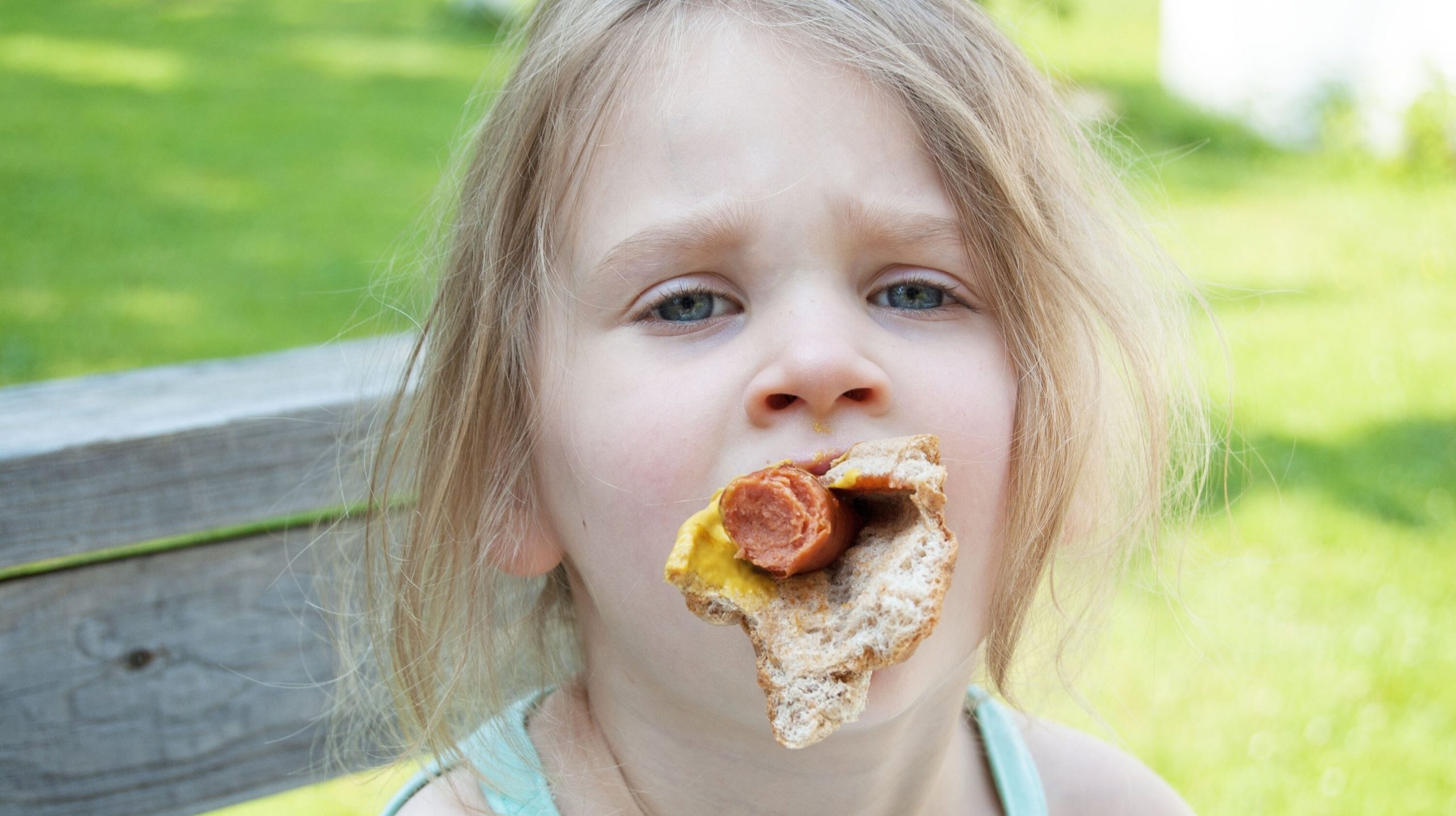 Peste 40% dintre copiii americani cred că hot-dog-ul este o legumă și spun despre cartofii prăjiți că provin de la animale
