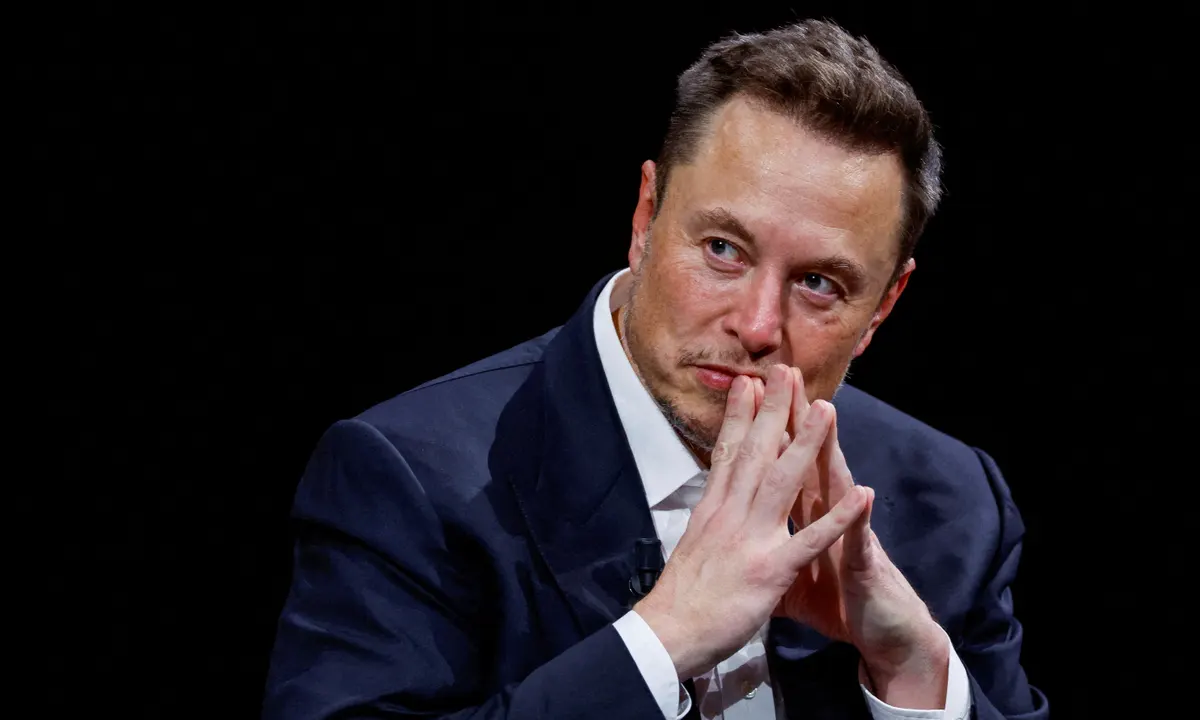 Cine ar putea să cumpere Tiktok? Elon Musk este una dintre propuneri, dar este oare o alegere potrivită?